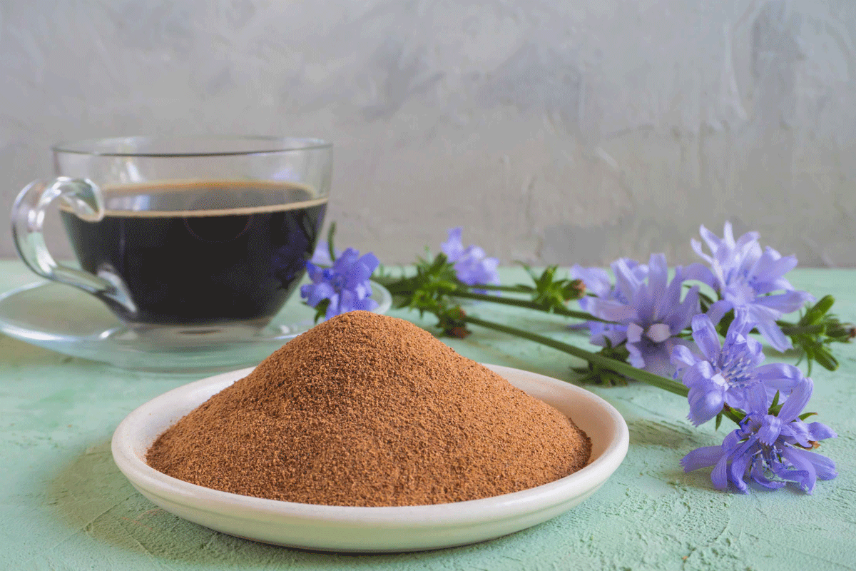 Chicory Root Powder and Its Essence: A Natural Coffee Alternative