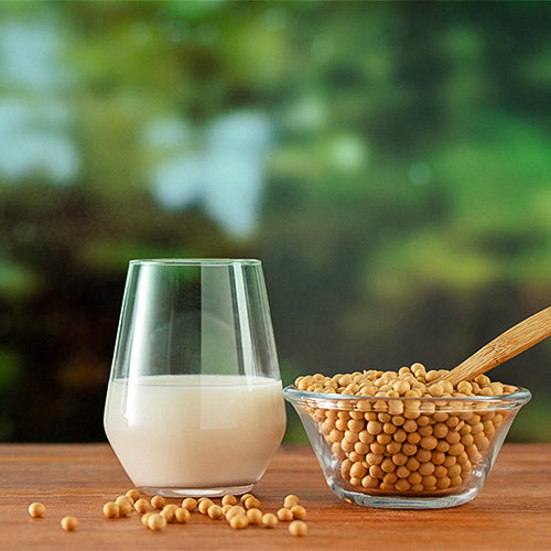 Dairy Substitutes